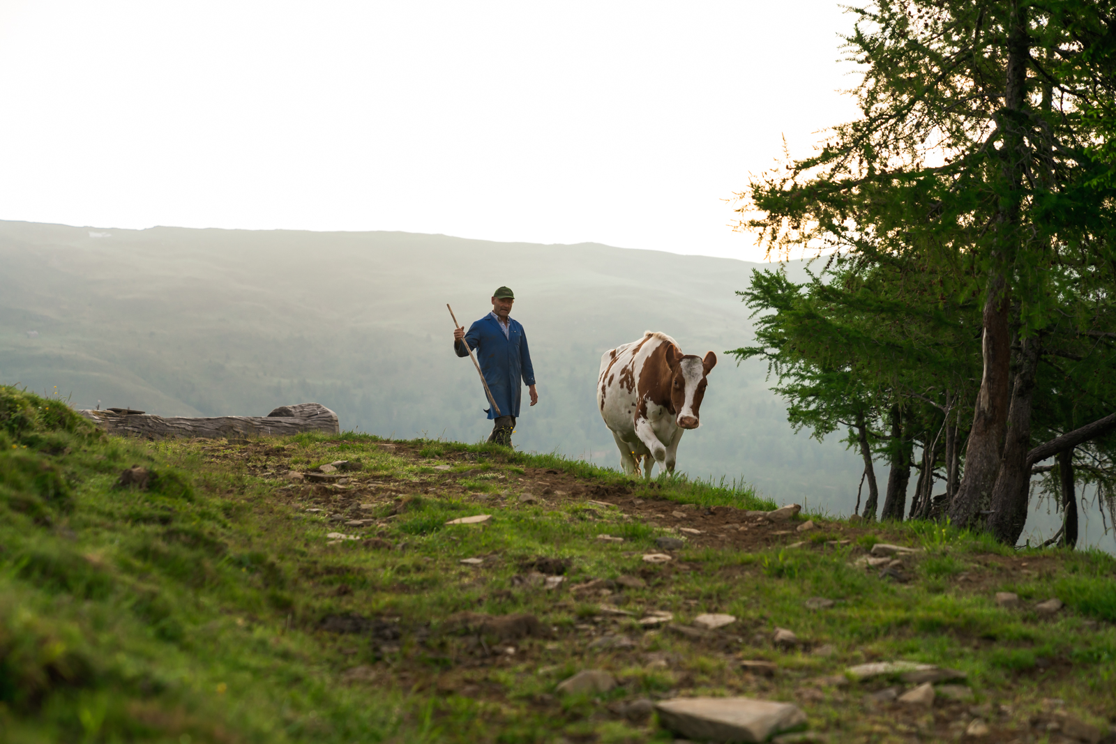 Almsenner Franz Glabischnig über echte Leidenschaft | Genuss Guide