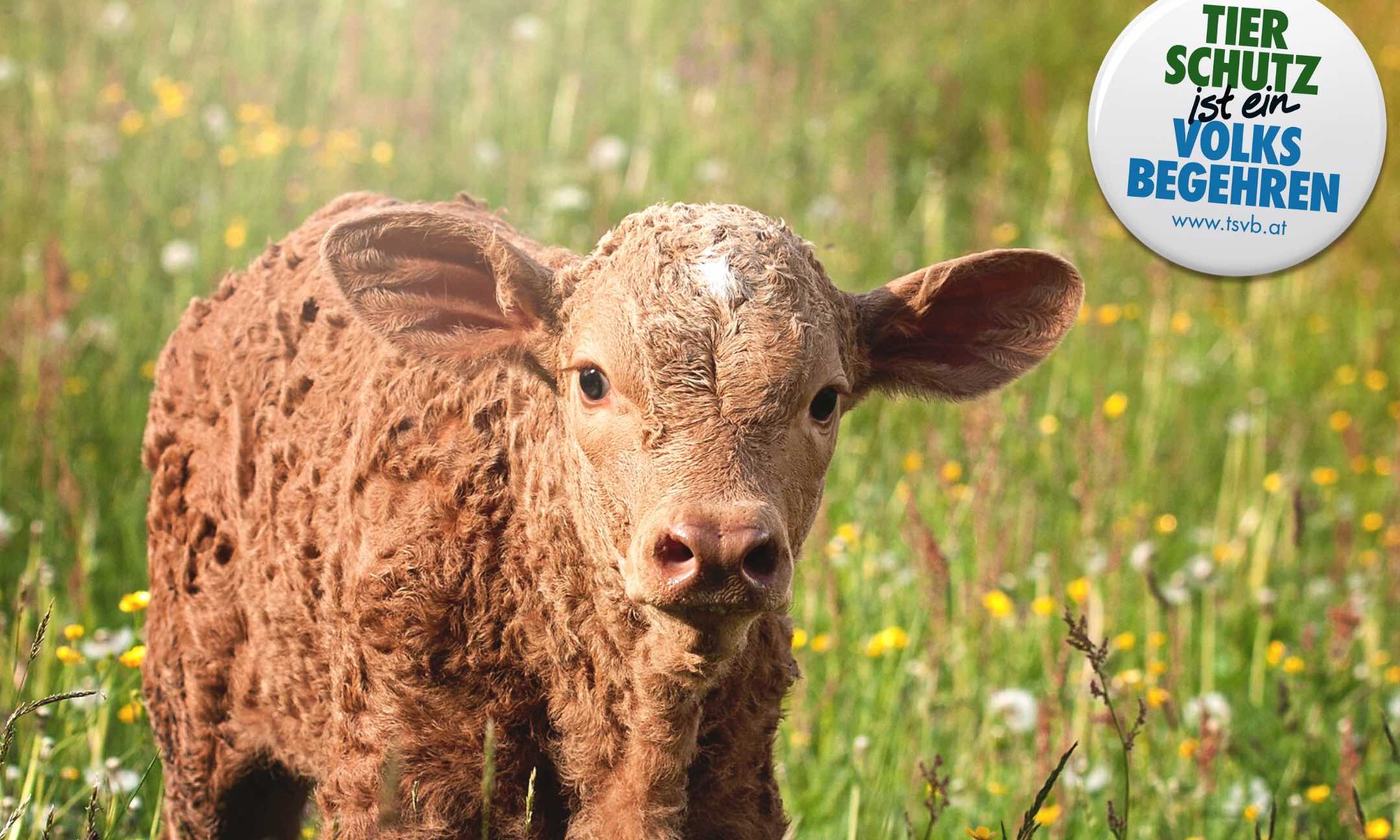 Tierschutzvolksbegehren