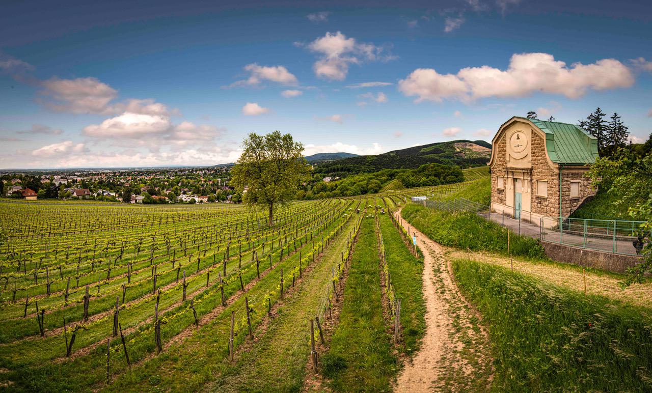 Österreichische Weinmarketing