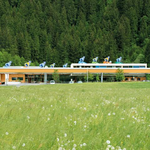 ErlebnisSennerei Zillertal „Ab-Hof-Verkauf“