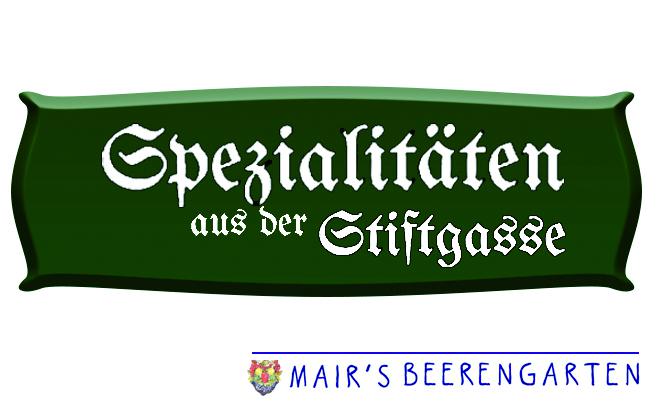 StiftgasseGG19